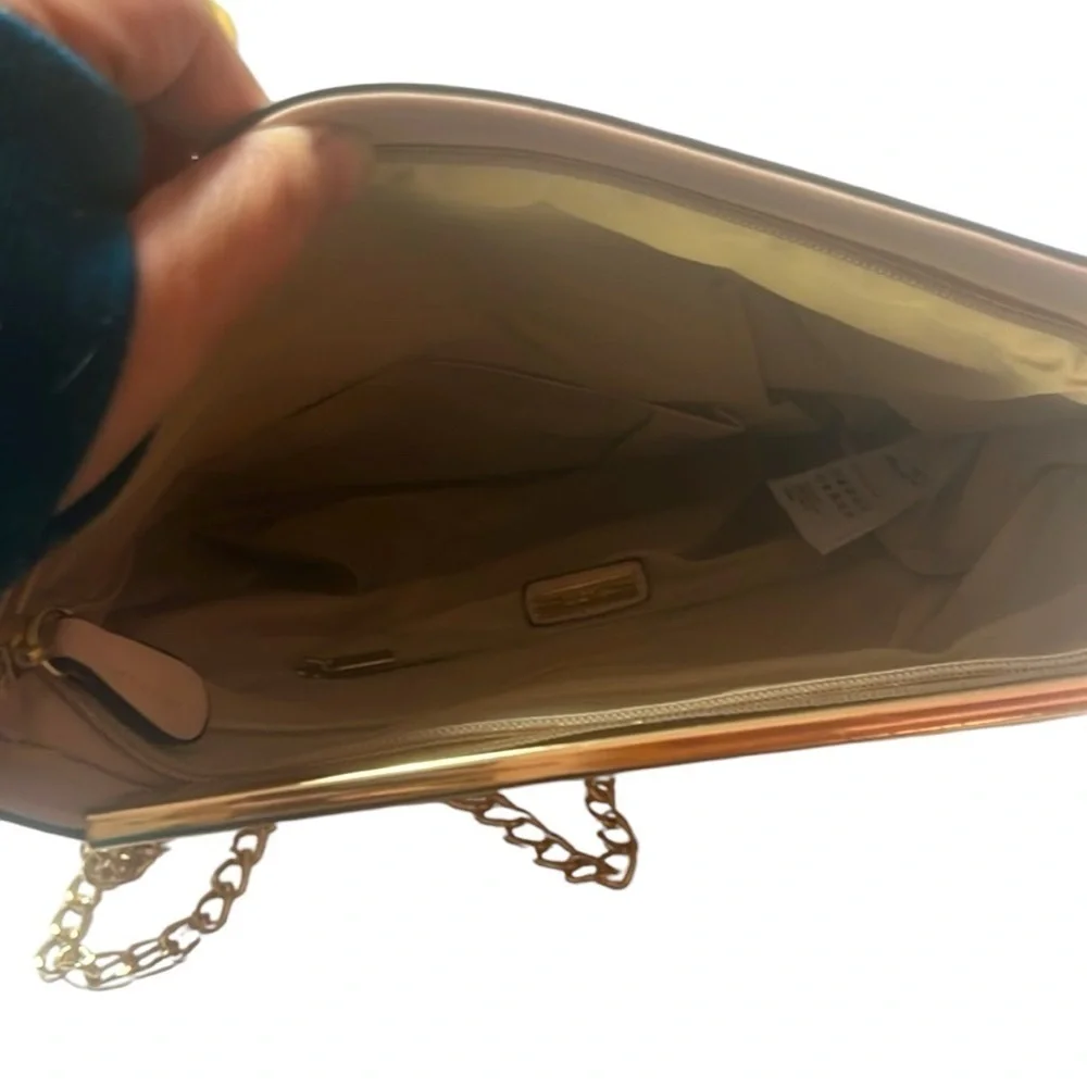 Aldo Pamela clutch/crossbody.